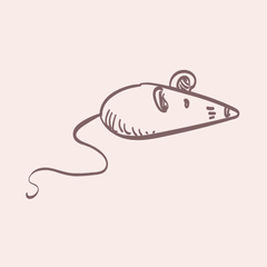 Collection image for: Žaislai katėms