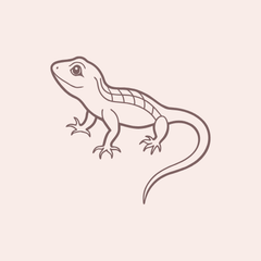 Collection image for: EGZOTINIAMS