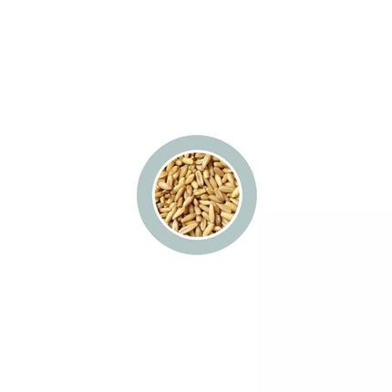 Avena Decorticata lukštentos avižos 1kg