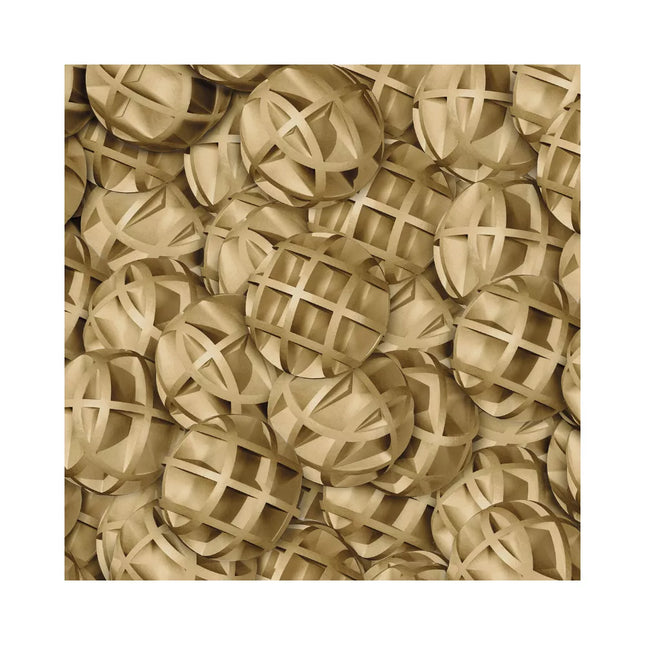 BioNitrat Ex užpildas nitratų šalinimui