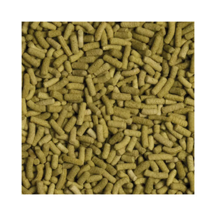 Tropical Biorept L pašaras sausumos vėžliams 500 ml