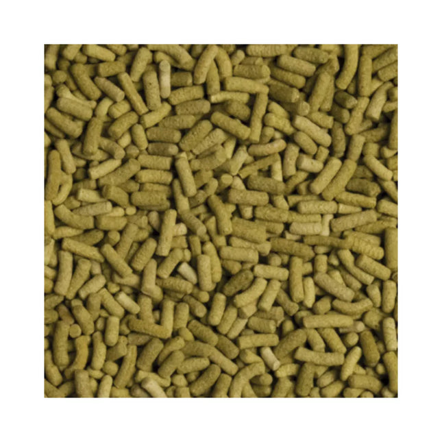 Tropical Biorept L pašaras sausumos vėžliams 500 ml