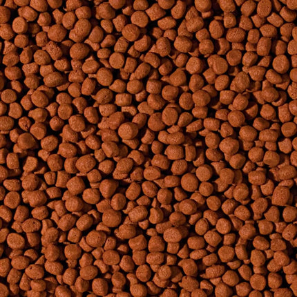 Tropical Cichlid Carnivore Medium Pellet granuliuotas maistas mėsėdžiams ciklidams 1000 ml