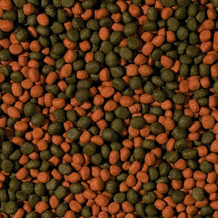 Tropical Cichlid Omnivore Medium Pellet granuliuotas maistas visaėdžiams ciklidams 1000 ml