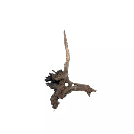 Dekoracija akvariumui šaka Black Slim Wood M (28-42 cm)