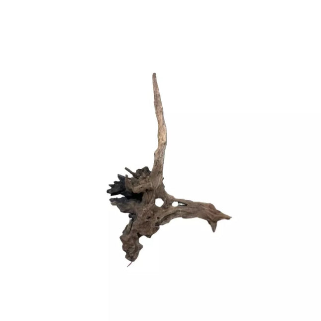 Dekoracija akvariumui šaka Black Slim Wood M (28-42 cm)