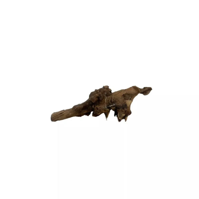 Dekoracija akvariumui šaka Black Slim Wood S (15-25 cm)