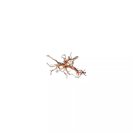 Dekoracija akvariumui šaka 40-60 cm, 10 kg