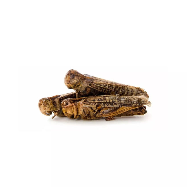 Džiovinti žiogai, 80 g