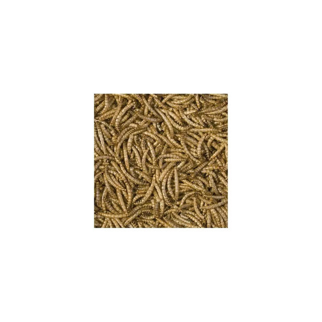 Tropical Mealorms džiovintos milčių lervos, 100 ml