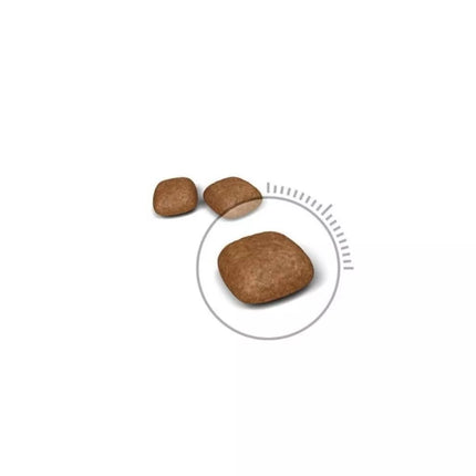 Royal Canin FCN Urinary Care maistas katėms šlapimo sistemos ligų profilaktikai 0,4 kg
