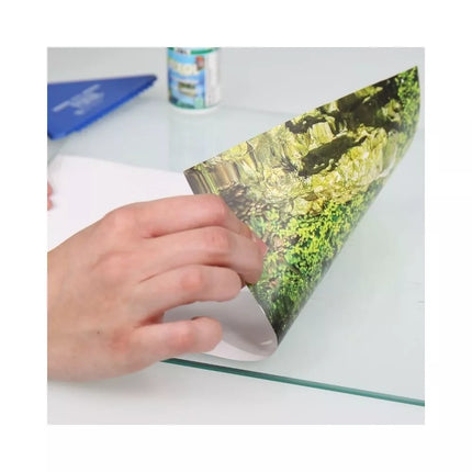 JBL Fixol klijai akvariumo dekoratyvinio fono priklijavimui 50 ml