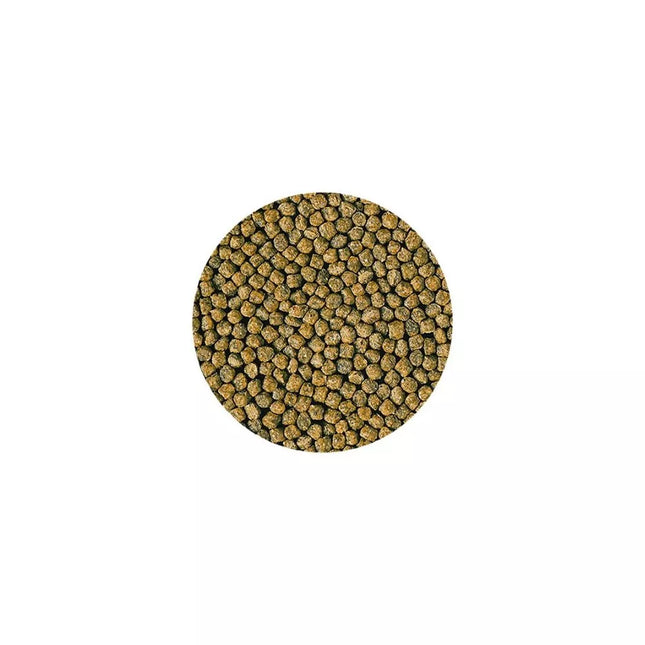 Hikari Goldfish Staple Baby visavertis pašaras žuvims 100 g
