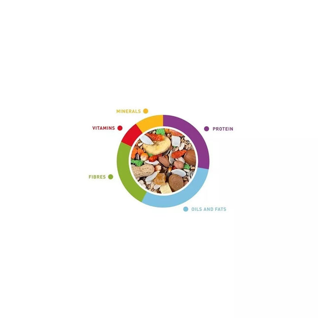 Lesalas didžiosioms papūgoms (amazonėms, žako, kakadu, aroms) Grandmix Pappagalli 2x600 g