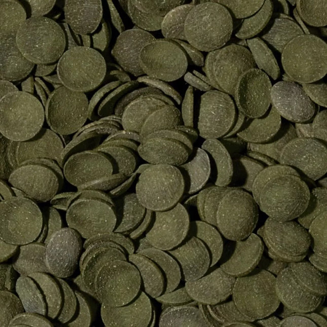 Tropical Green Algae Wafers pašaras dugninėms žuvims 1000 ml