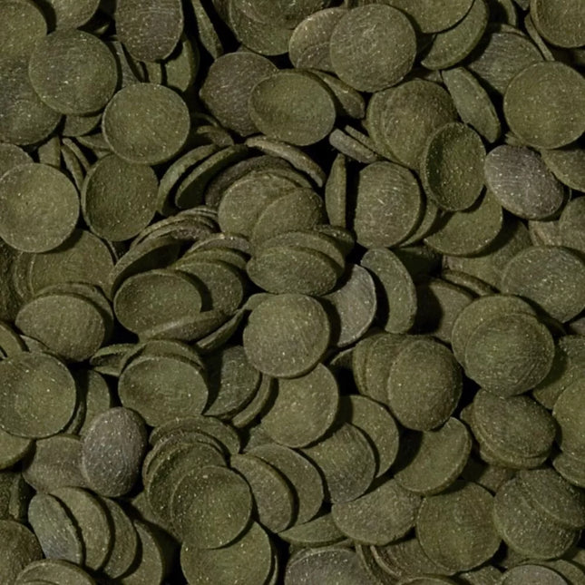 Tropical Green Algae Wafers pašaras dugninėms žuvims 250 ml + 10%