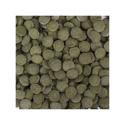 Tropical HI-Algae Discs pašaras žuvims 100 ml