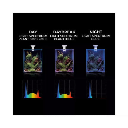 Leddy Smart 4,8 W Plant šviestuvas (juodas)