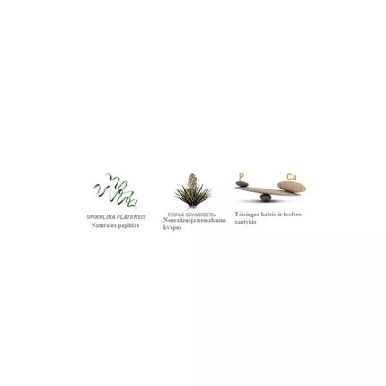 Maistas jauniems dekoratyviniams triušiams Wellness 1 kg