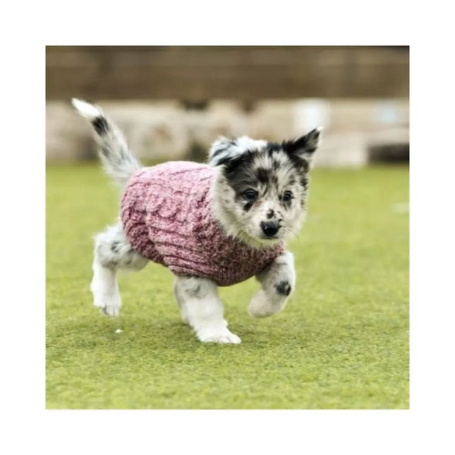 Megztukas šunims Himalaya, raudonas, 25 cm