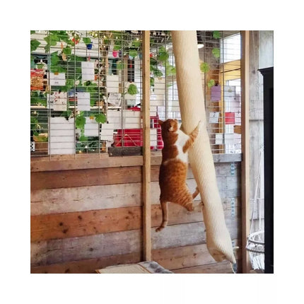 Pakabinama draskyklė, 180 cm