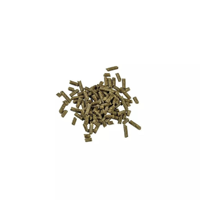 Pašaras žuvims Dr. Bassleer Biofish Food Shrimp Sticks Acai, 60 g