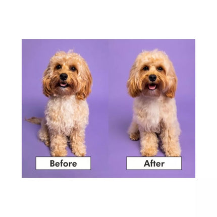 Pet Teezer plaukų šepetys gyvūnams Detangling&Dog Grooming Brush Small, violetinis