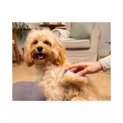 Pet Teezer plaukų šepetys gyvūnams Detangling&Dog Grooming Brush Small, violetinis