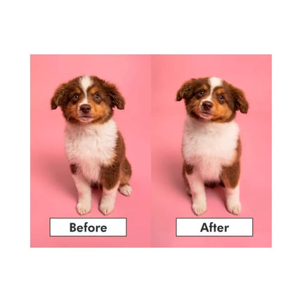 Pet Teezer plaukų šepetys gyvūnams Puppy Brush, žalias