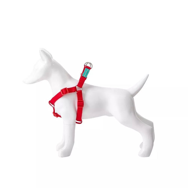 Petnešos Basic Nylon A-Type, raudonos, 15 mm x 30-50 cm