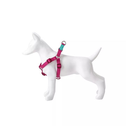 Petnešos Basic Nylon A-Type, vyšninės, 10 mm x 20-36 cm