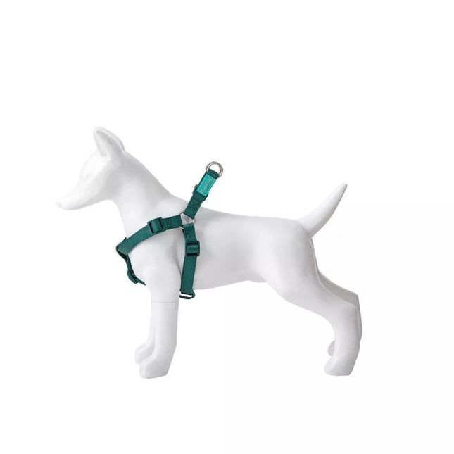 Petnešos Basic Nylon A-Type, žalios, 10 mm x 20-36 cm