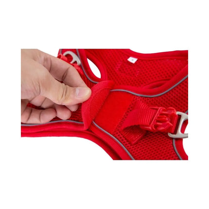 Petnešos Soft, turkio spalvos, XS, 20-35 cm