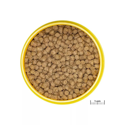 JBL ProNovo Lotl Grano M pašaras aksolotliams 250 ml