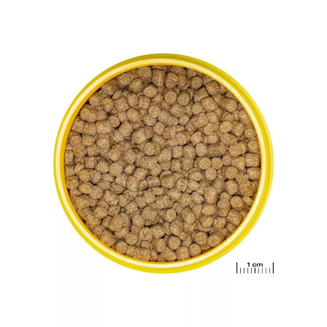 JBL ProNovo Lotl Grano M pašaras aksolotliams 250 ml