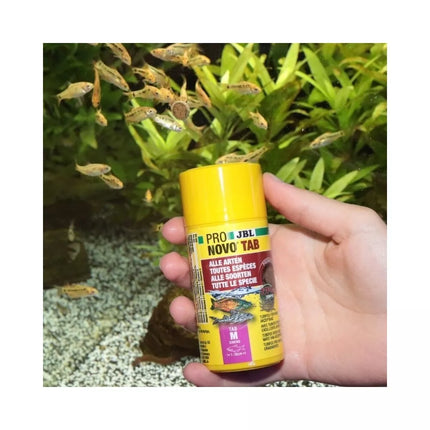 JBL ProNovo Tab M pašaras žuvims 250 ml