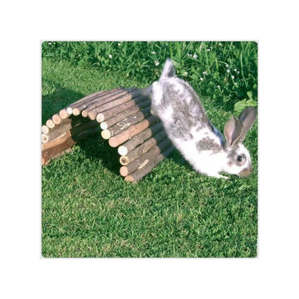 Quapas! Žaislas smulkiems gyvūnams rąstinis tiltukas, XL