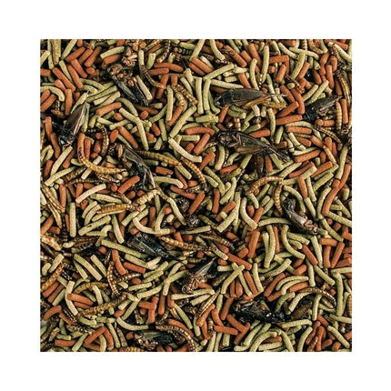 Tropical Soft Line Reptiles Carnivore maistas mėsėdžiams ropliams, minkštas  250 ml