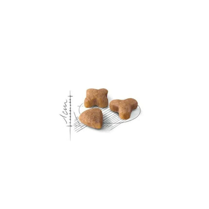 Royal Canin FHN Regular Sensible 33 maistas jautrią virškinimo sistemą turinčioms katėms 0,4 kg