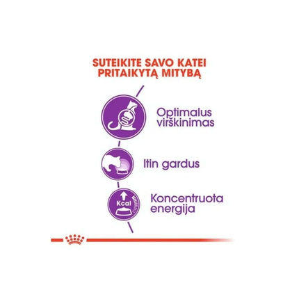 Royal Canin FHN Regular Sensible 33 maistas jautrią virškinimo sistemą turinčioms katėms 0,4 kg