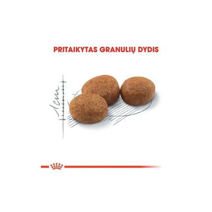 Royal Canin FHN Regular Sterilised 37 maistas sterilizuotoms suaugusioms katėms 0,4 kg