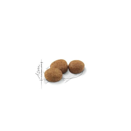 Royal Canin FHN Regular Sterilised 37 maistas sterilizuotoms suaugusioms katėms 2 kg