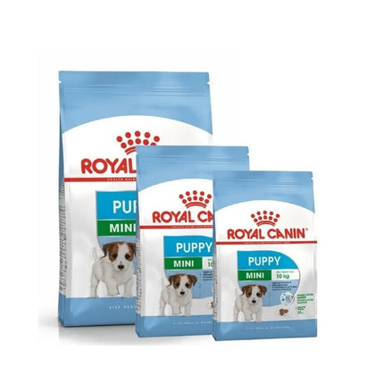 Royal Canin SHN MINI Puppy maistas jauniems šuniukams 0,8 kg