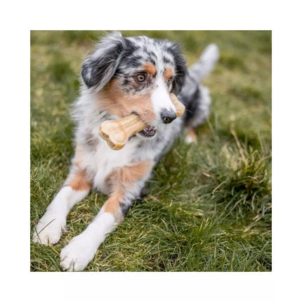 Rudi kaulai šunims iš jaučio odos 21,5 cm (10 vnt.)