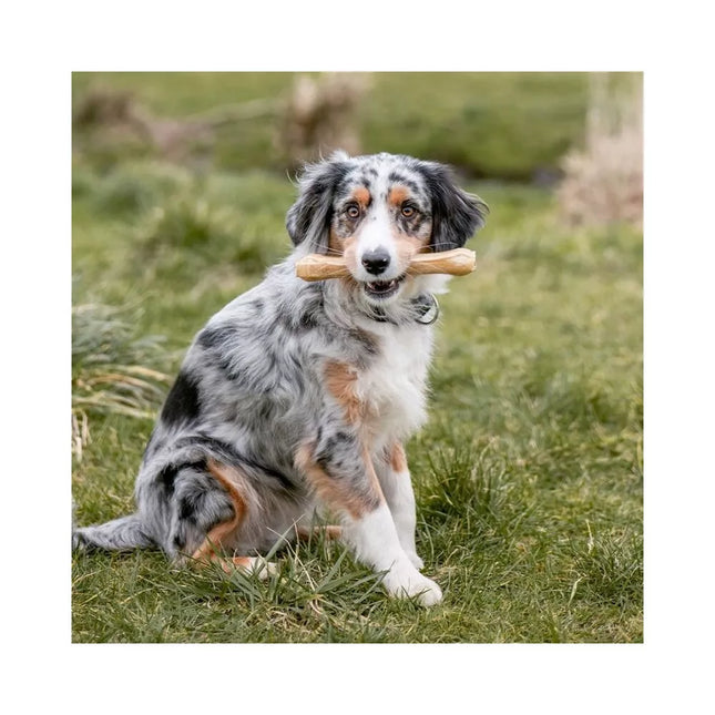 Rudi kaulai šunims iš jaučio odos 26,5 cm (5 vnt.)