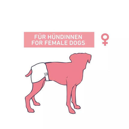 Sauskelnės šunims (kalytėms), 12 vnt., XL, 40 - 58 cm