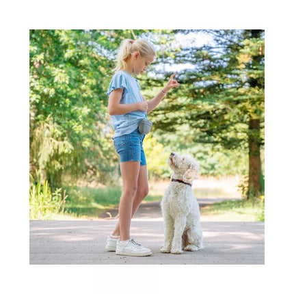 Silikoninis maišelis skanėstams, pilkas, 12,5x4x10,5 cm