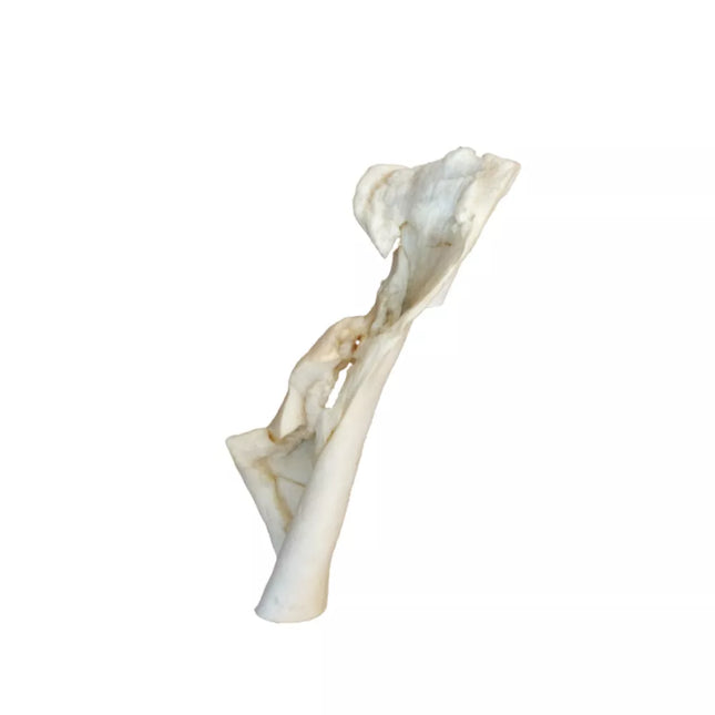 Skanėstas šunims džiovinta galvijo oda, 5 vnt