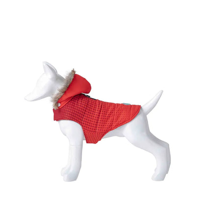 Striukė šunims Red Dot, 25 cm