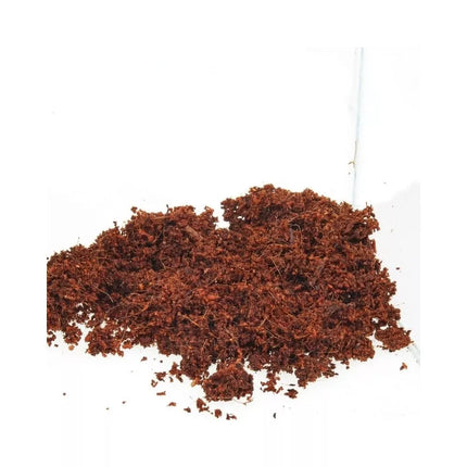 JBL TerraCoco Humus kokosinis humusas 600 g